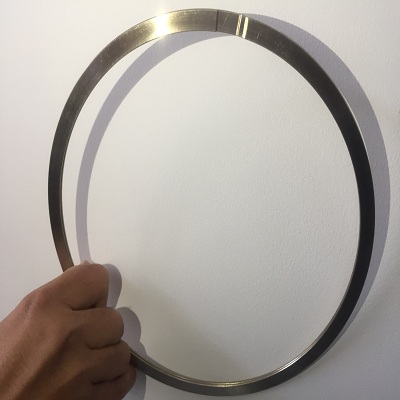 laminar seal ring