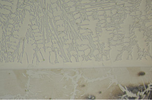 smooth CCO plate magnified fusion line