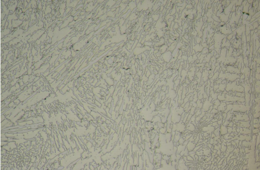 smooth wear plate magnified overlay